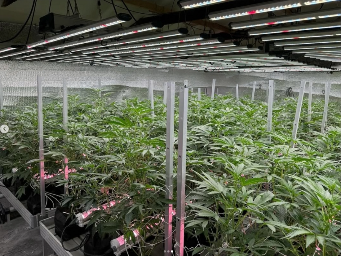 Unlock Your Canopy's Potential: Why UnderCanopy Lighting is a Game-Changer