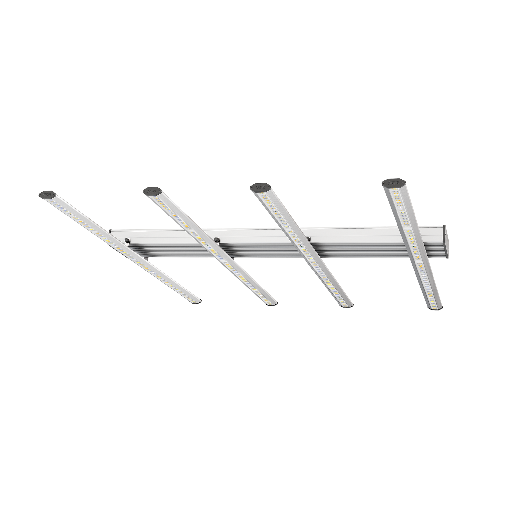 Spectre LED - PHASER VEG